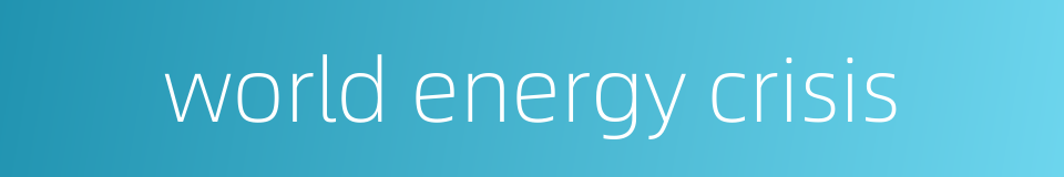 world energy crisis的同义词