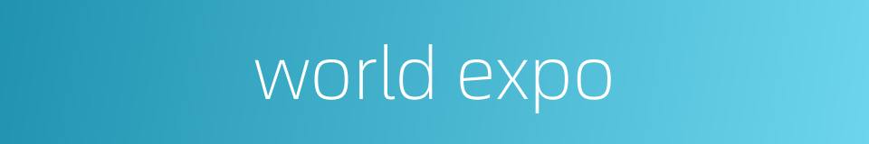 world expo的同义词