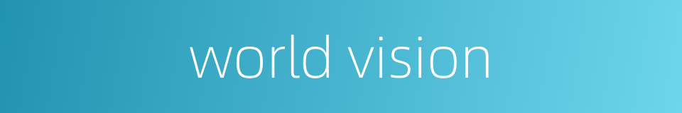 world vision的同义词