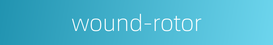 wound-rotor的同义词