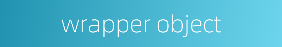 wrapper object的同义词