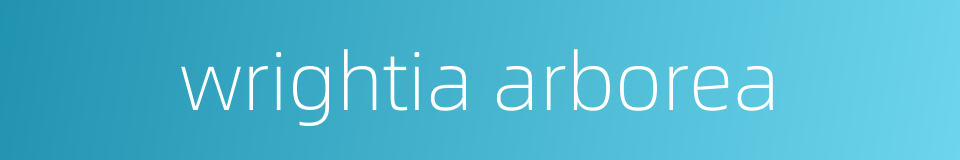 wrightia arborea的同义词