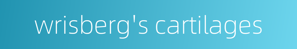 wrisberg's cartilages的同义词