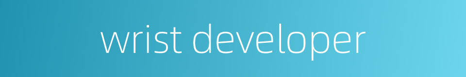 wrist developer的同义词