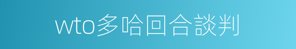 wto多哈回合談判的同義詞