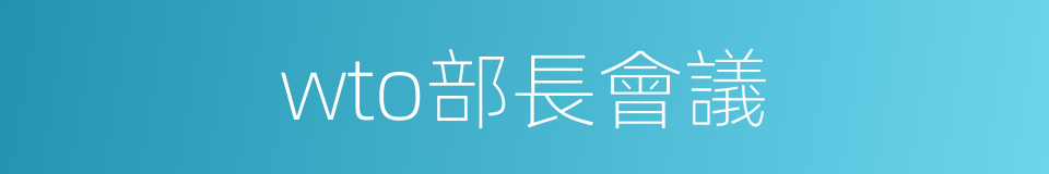 wto部長會議的同義詞