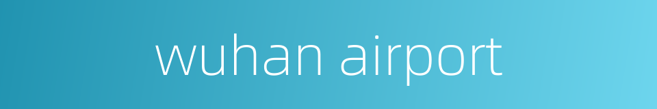 wuhan airport的同义词