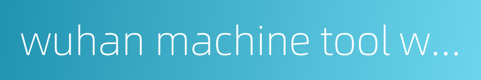 wuhan machine tool works的同义词