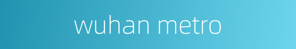wuhan metro的同义词