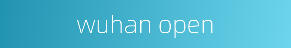 wuhan open的同义词