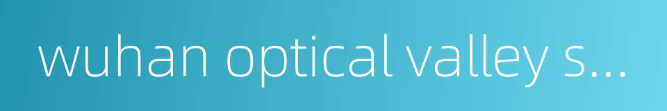 wuhan optical valley software park的同义词