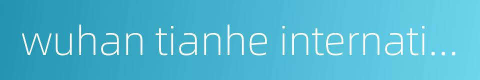 wuhan tianhe international airport的同义词