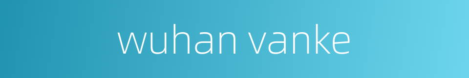 wuhan vanke的同义词