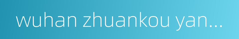 wuhan zhuankou yangtze river bridge的同义词