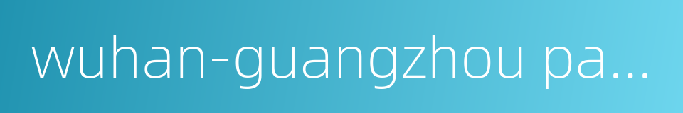 wuhan-guangzhou passenger special line的同义词