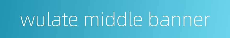 wulate middle banner的同义词
