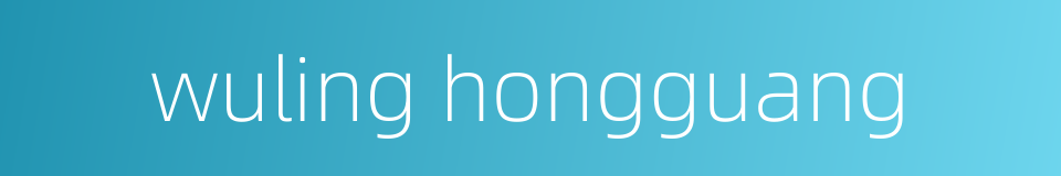 wuling hongguang的同义词