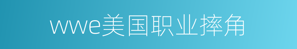 wwe美国职业摔角的同义词