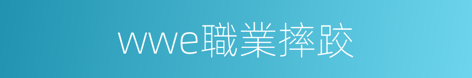 wwe職業摔跤的同義詞