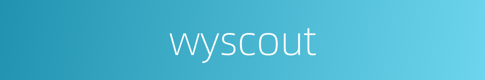wyscout的同义词