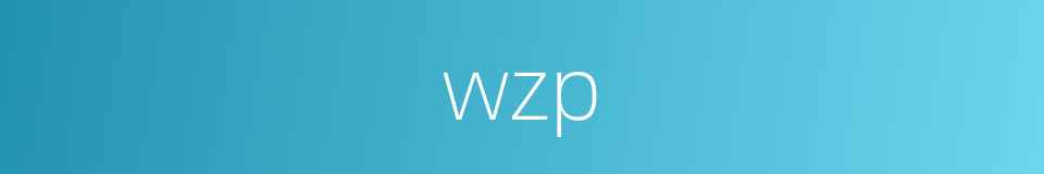 wzp的同义词