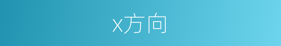 x方向的同义词