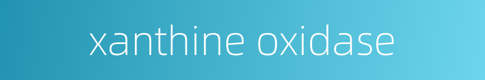 xanthine oxidase的同义词