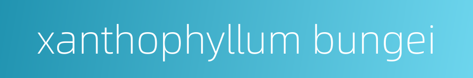 xanthophyllum bungei的同义词