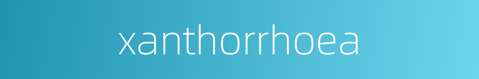xanthorrhoea的同义词