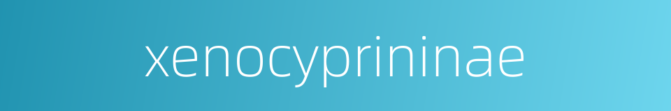 xenocyprininae的同义词