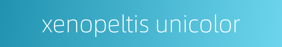 xenopeltis unicolor的同义词