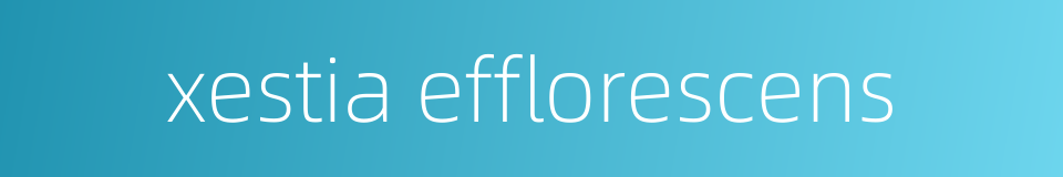 xestia efflorescens的同义词