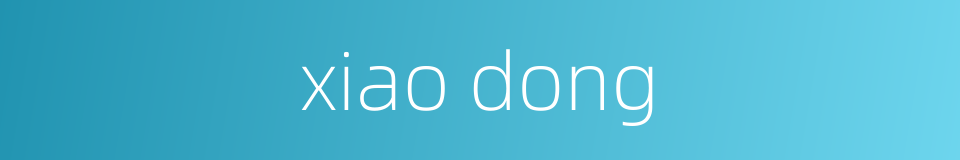 xiao dong的同义词