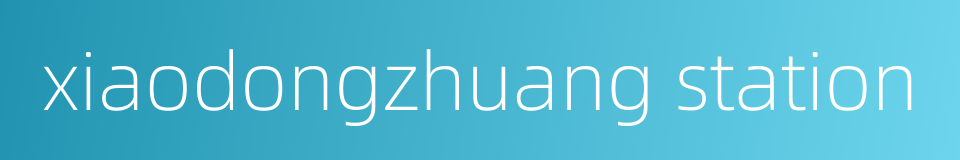 xiaodongzhuang station的同义词