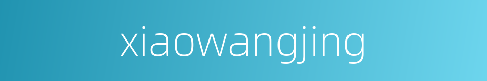 xiaowangjing的同义词