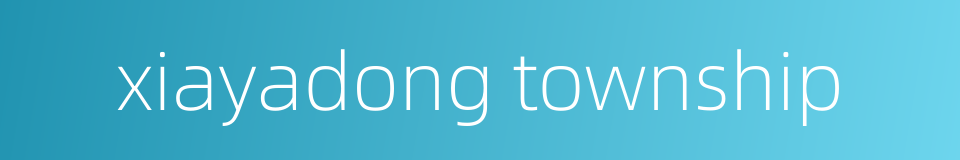 xiayadong township的同义词