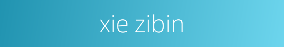 xie zibin的同义词