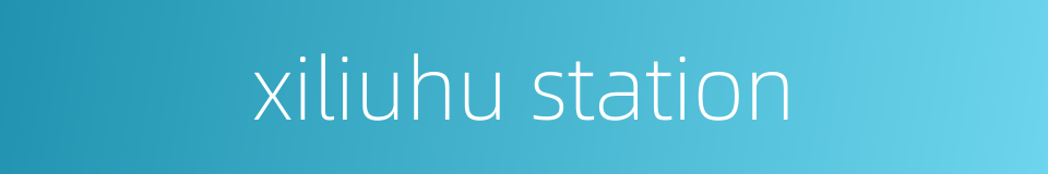 xiliuhu station的同义词