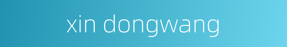 xin dongwang的同义词