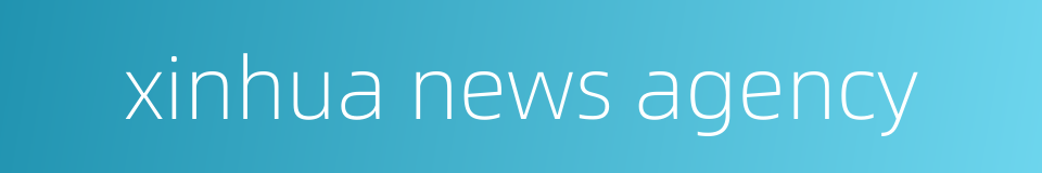xinhua news agency的同义词