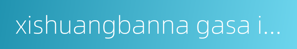 xishuangbanna gasa international airport的同义词