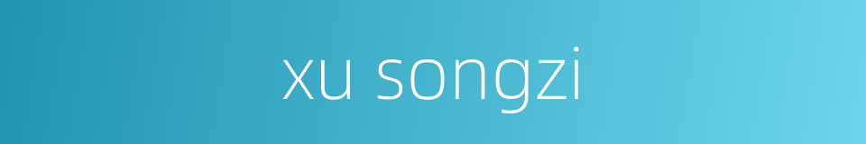 xu songzi的同义词