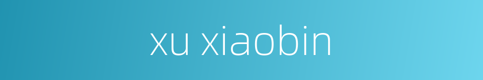 xu xiaobin的同义词