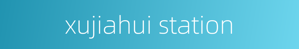 xujiahui station的同义词
