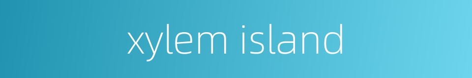 xylem island的同义词