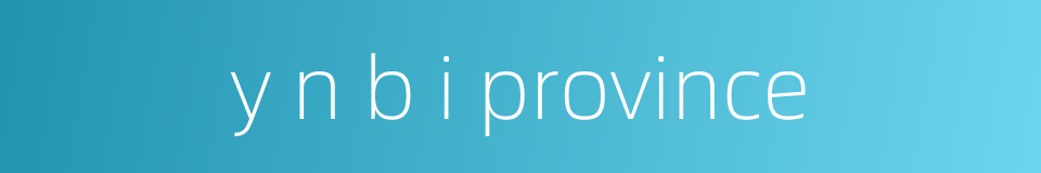 y n b i province的同义词