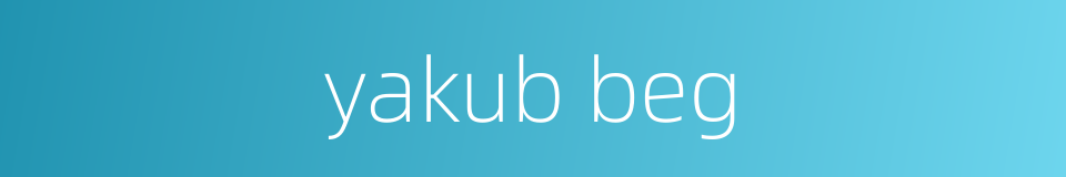 yakub beg的同义词