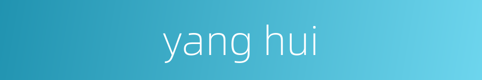 yang hui的同义词