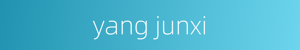 yang junxi的同义词
