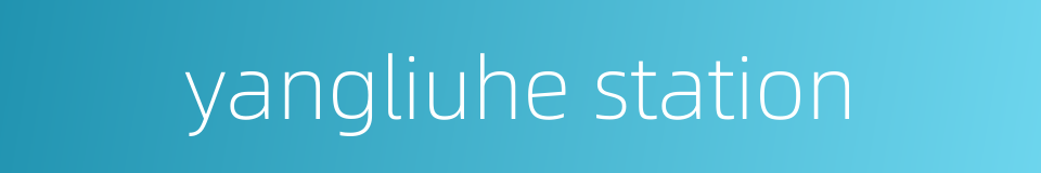 yangliuhe station的同义词
